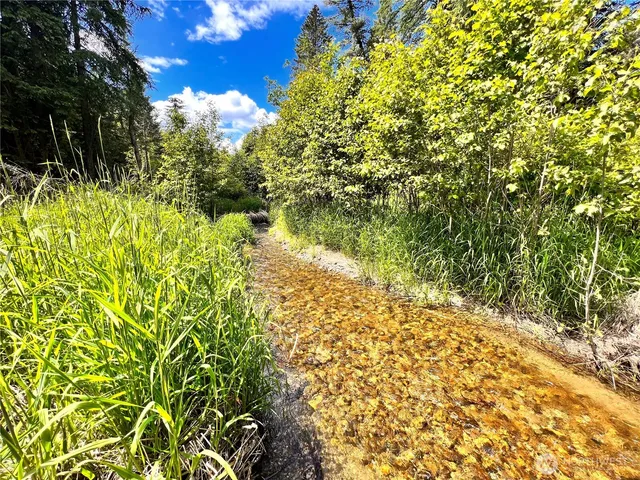 a view of a garden with plants