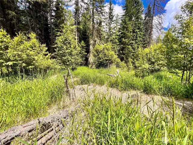 $59,900 | 0 Lambert Creek Road, Republic, WA 99166