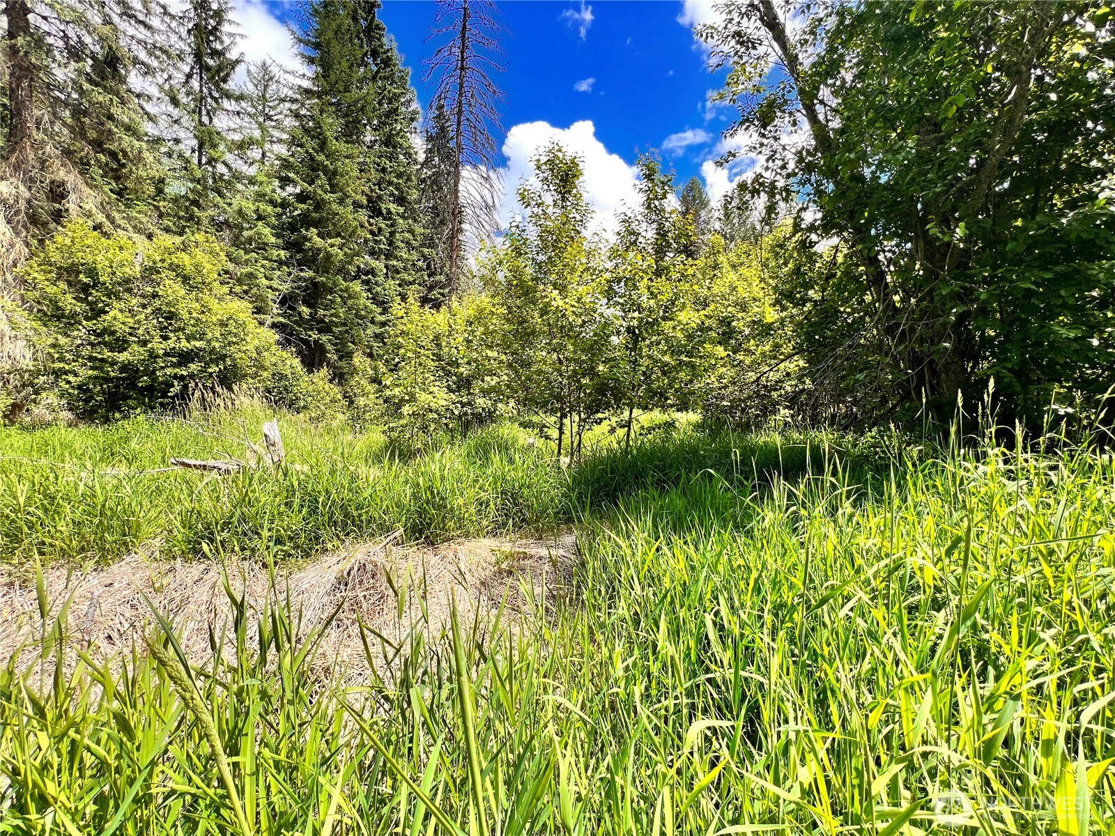 0 Lambert Creek Road Republic, WA 99166 - Photo 23 of 24 a view of a garden