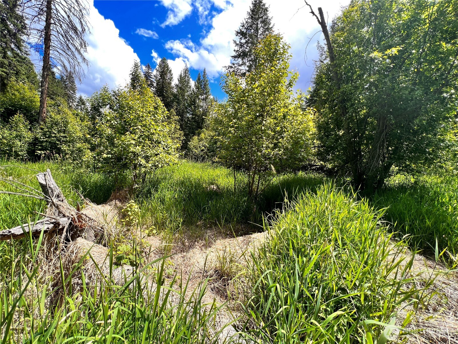 0 Lambert Creek Road Republic, WA 99166 - Photo 24 of 24 a view of a garden