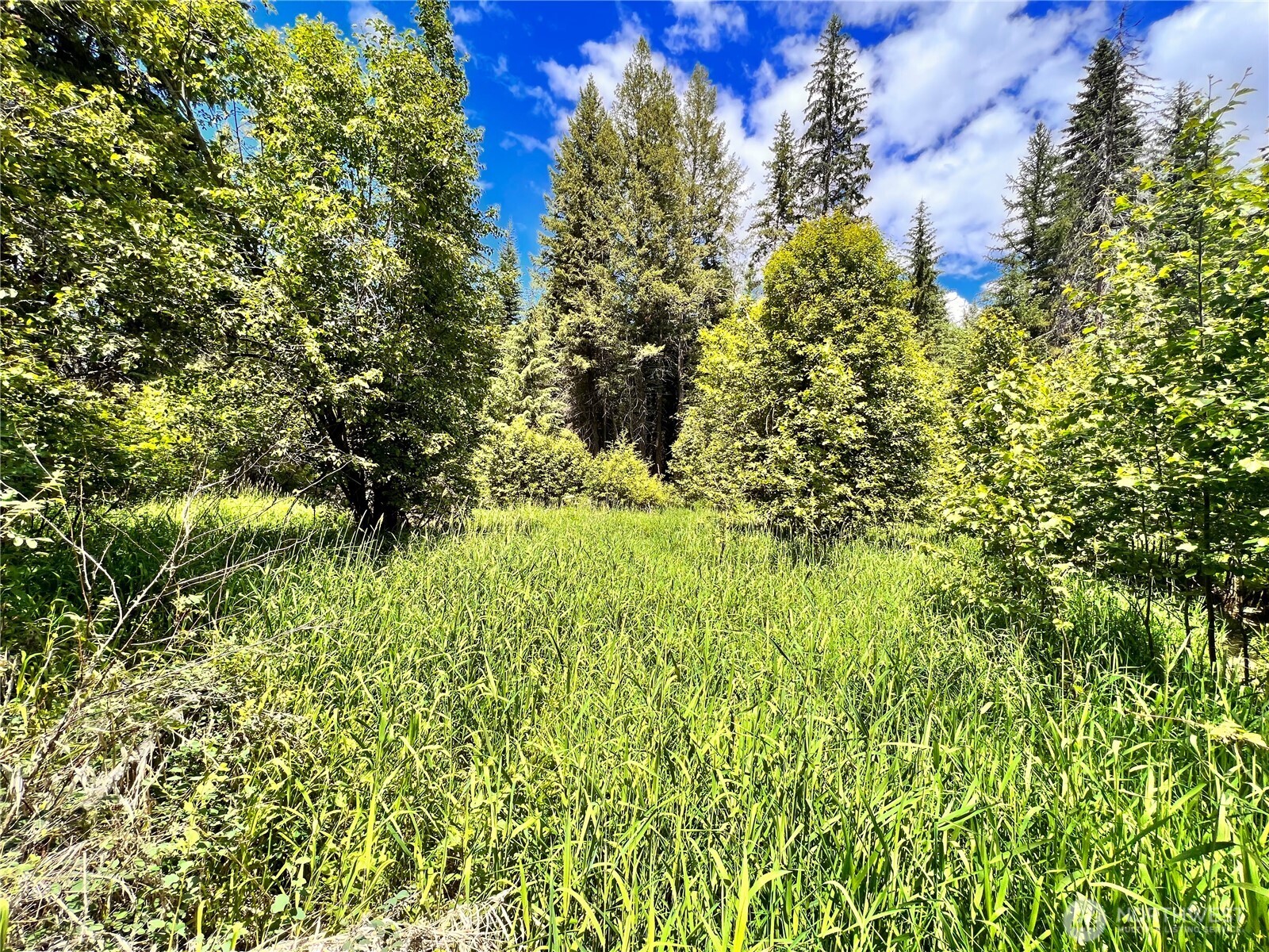 0 Lambert Creek Road Republic, WA 99166 - Photo 3 of 24