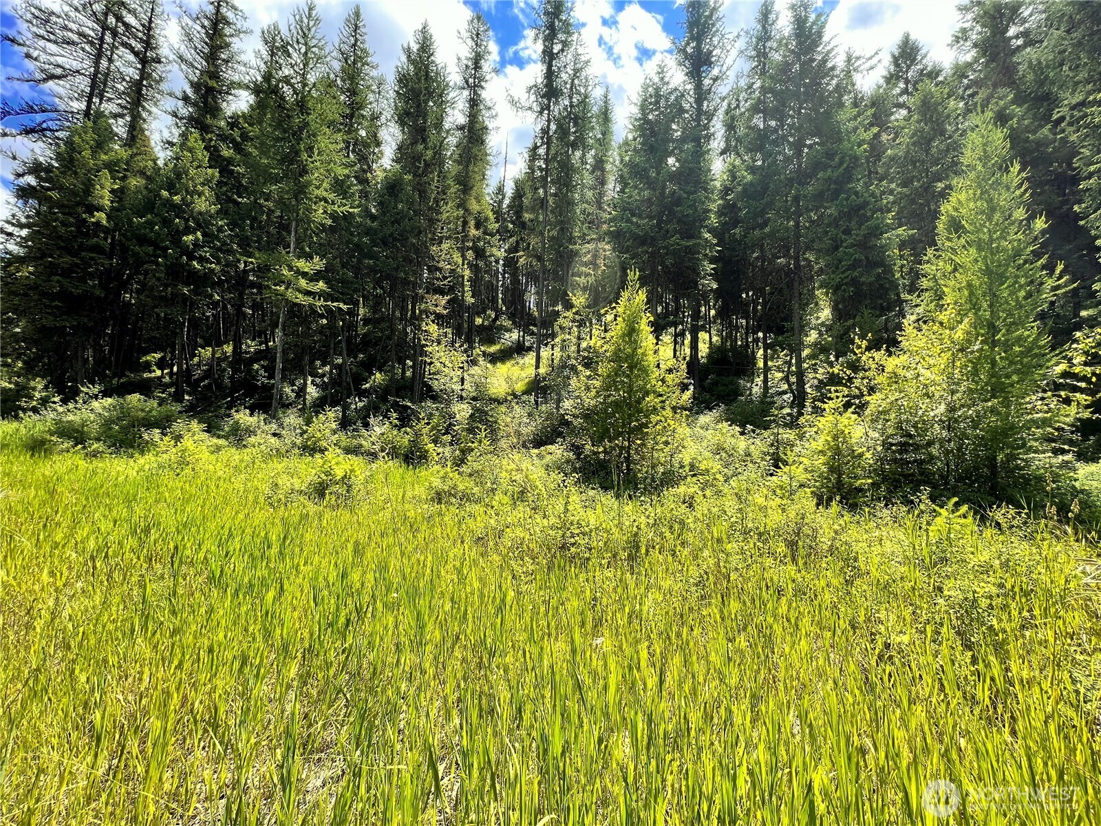 0 Lambert Creek Road Republic, WA 99166 - Photo 4 of 24 a view of swimming pool of the house