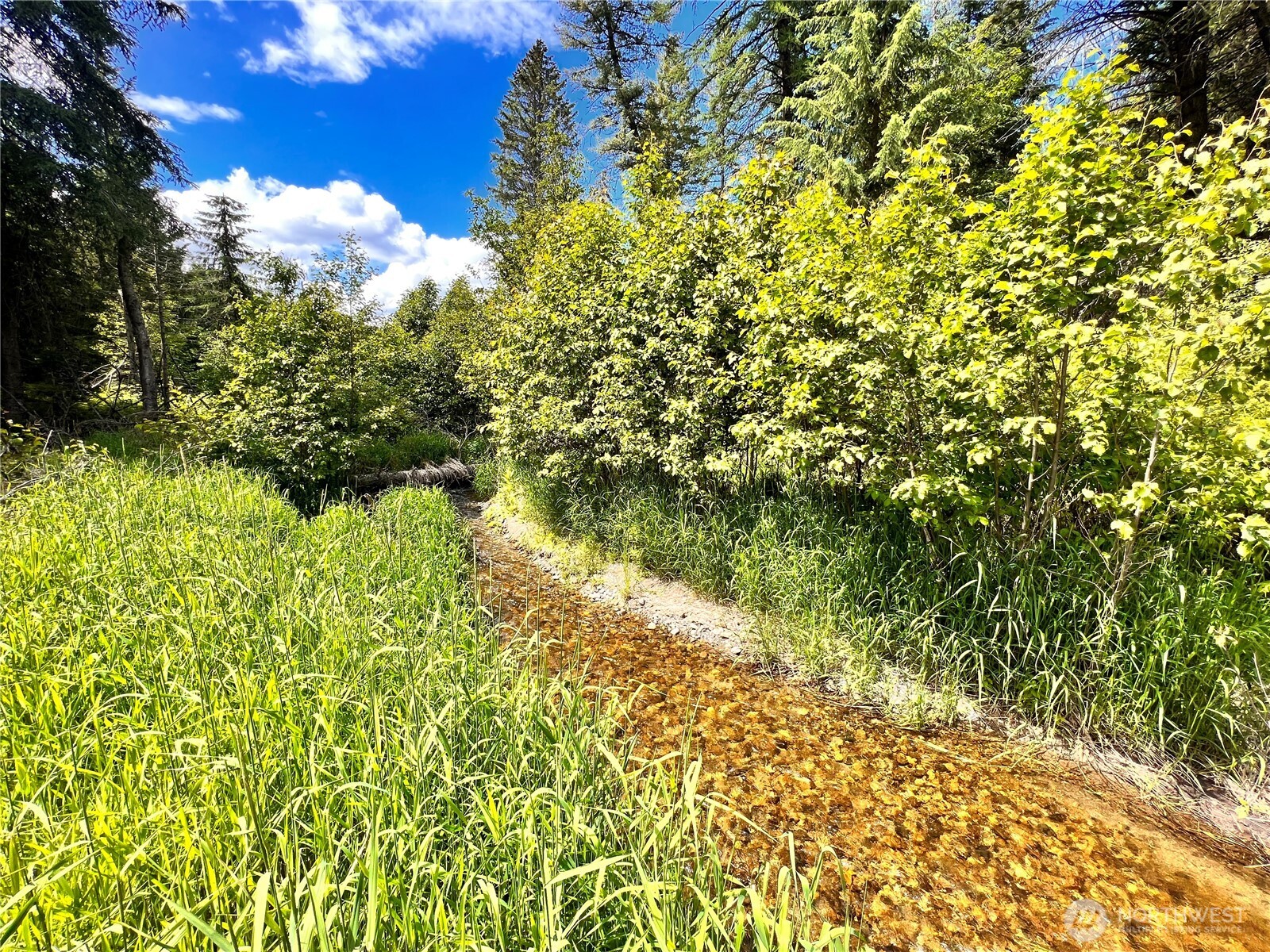 0 Lambert Creek Road Republic, WA 99166 - Photo 9 of 24 a view of a garden