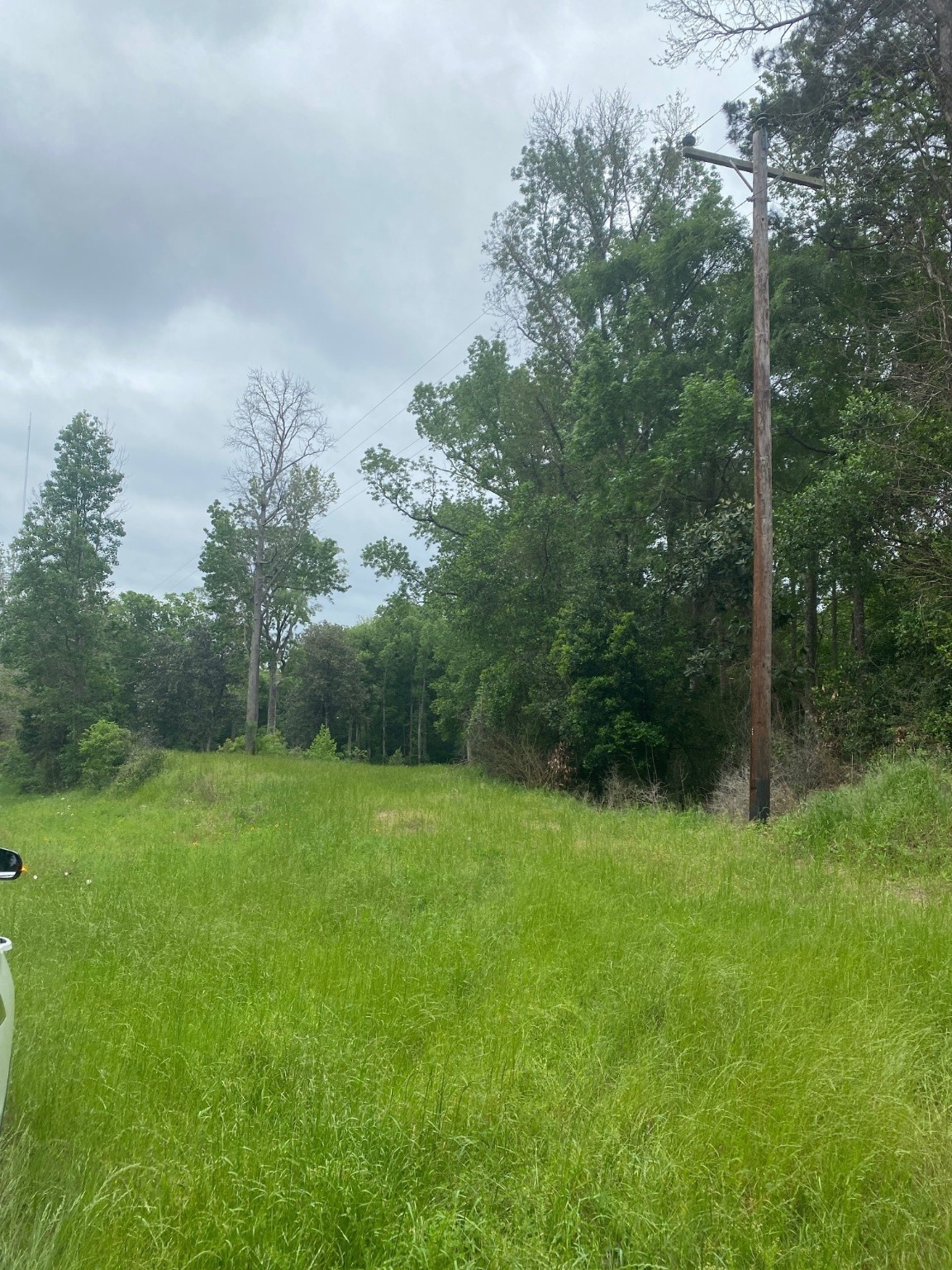 00 Fm 222 Loop South Coldspring, TX 77331 - Photo 3 of 5 a view of an outdoor space and a yard