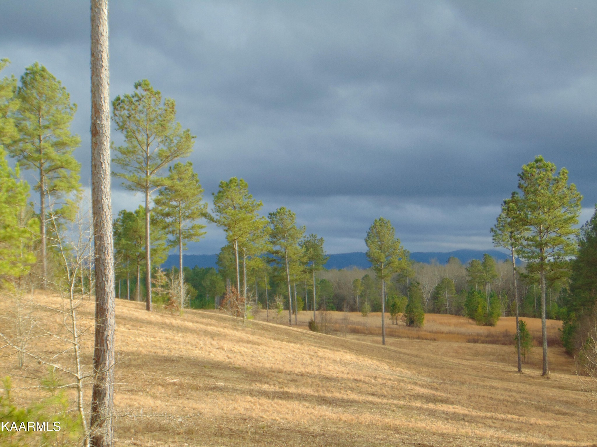 11 Athens Road Calhoun, TN 37309 - Photo 21 of 59 Gallery Image 21