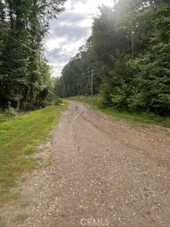 a view of a field with trees in background