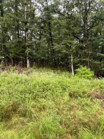 $6,500 | 24 Edgemont, Hot Springs National Park, AR 71913