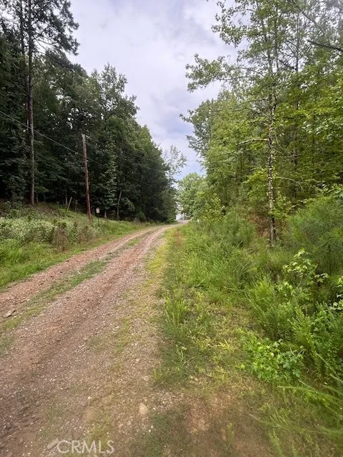 24 Edgemont Outside Area (outside Ca), AR 71913 - Photo 6 of 12 a view of a yard with a trees