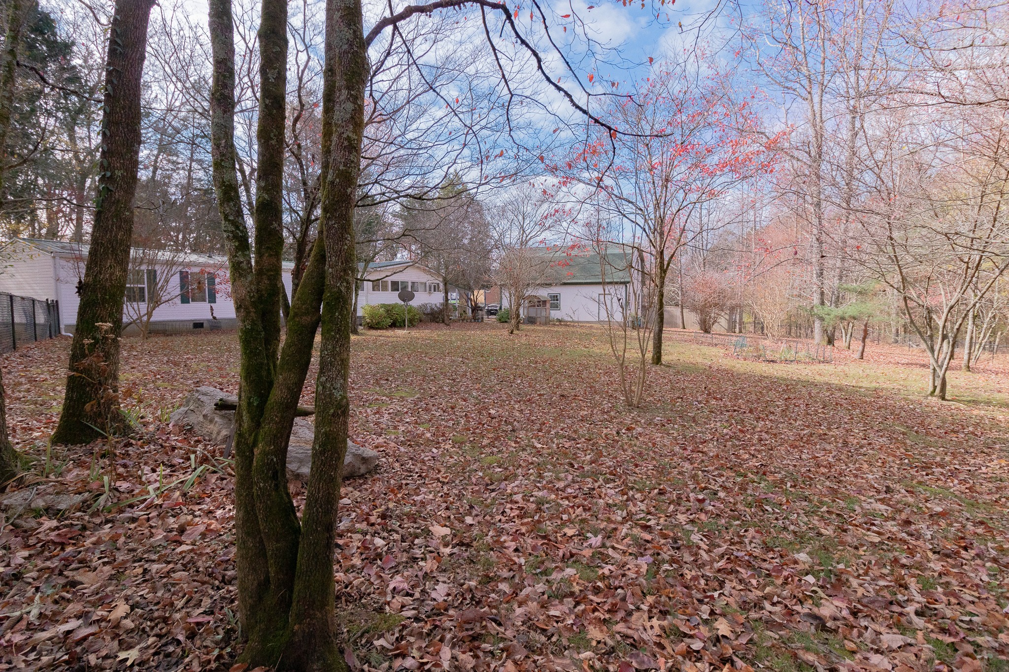 833 Speck Road Lebanon, TN 37087 - Photo 39 of 40 a view of a yard with a tree