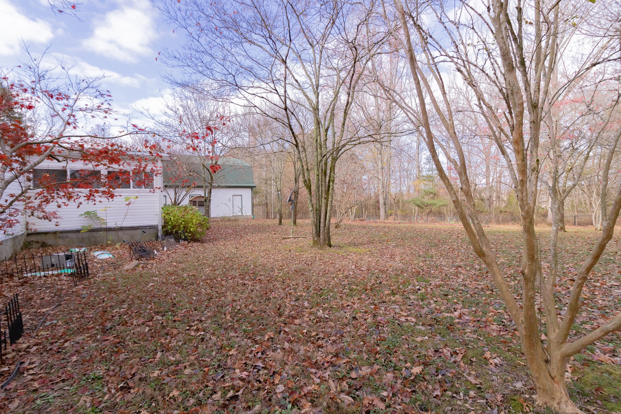 833 Speck Road Lebanon, TN 37087 - Photo 40 of 40 a view of a yard with plants and trees