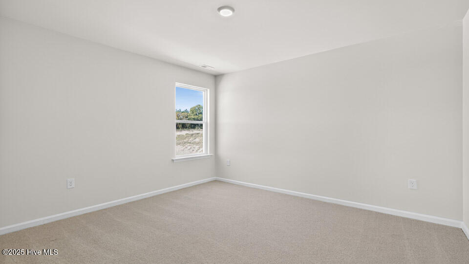 668 Wilder Bloom Path Aberdeen, NC 28315 - Photo 29 of 43 Bedroom