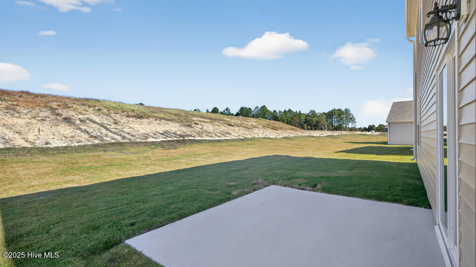 668 Wilder Bloom Path Aberdeen, NC 28315 - Photo 40 of 43 Patio