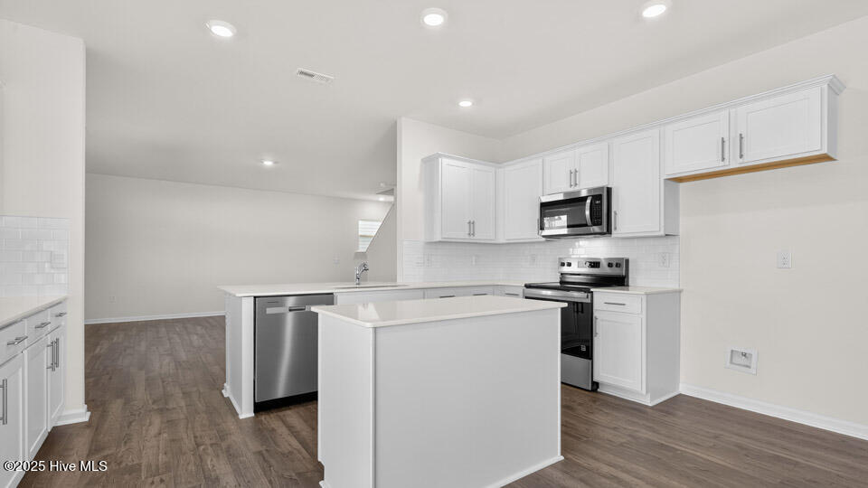 668 Wilder Bloom Path Aberdeen, NC 28315 - Photo 7 of 43 Kitchen