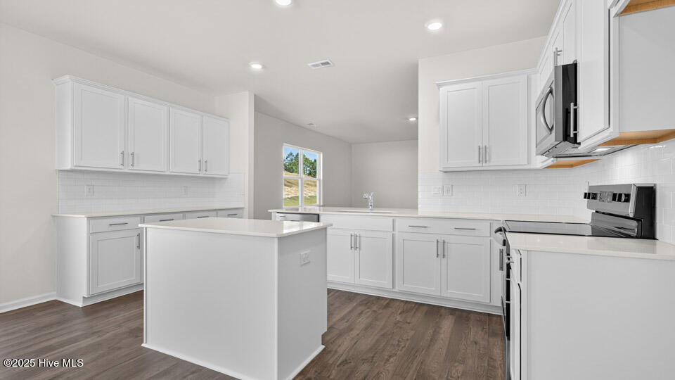 668 Wilder Bloom Path Aberdeen, NC 28315 - Photo 9 of 43 Kitchen