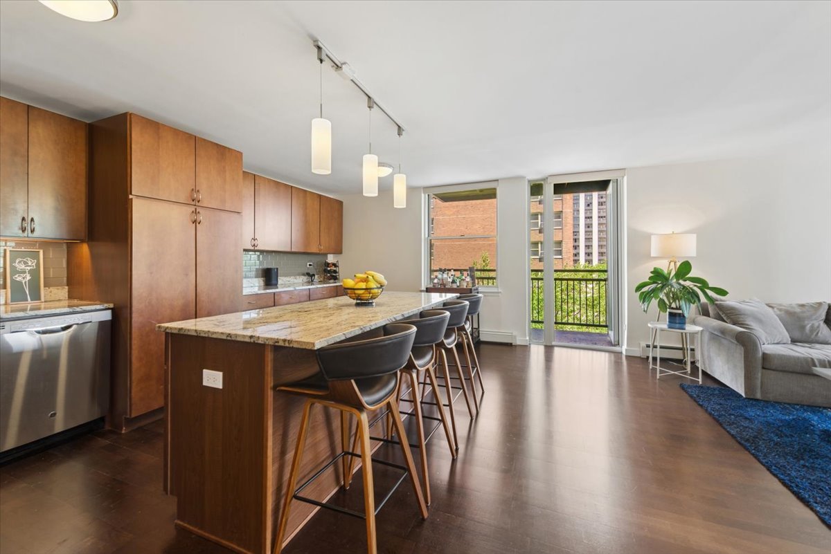 3033 North Sheridan Road, Unit 601 Chicago, IL 60657 - Photo 5 of 16