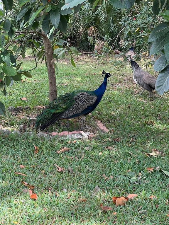 1100 Calanda Avenue Orlando, FL 32807 - Photo 33 of 45