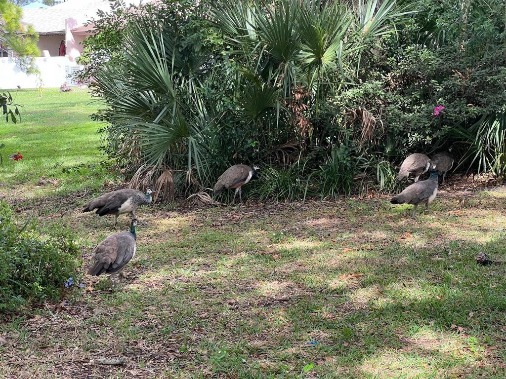 1100 Calanda Avenue Orlando, FL 32807 - Photo 39 of 45