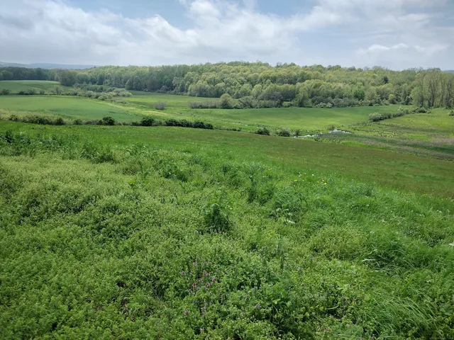 $4,100,000 | 148-153 Wallingford Road, Durham, CT 06422