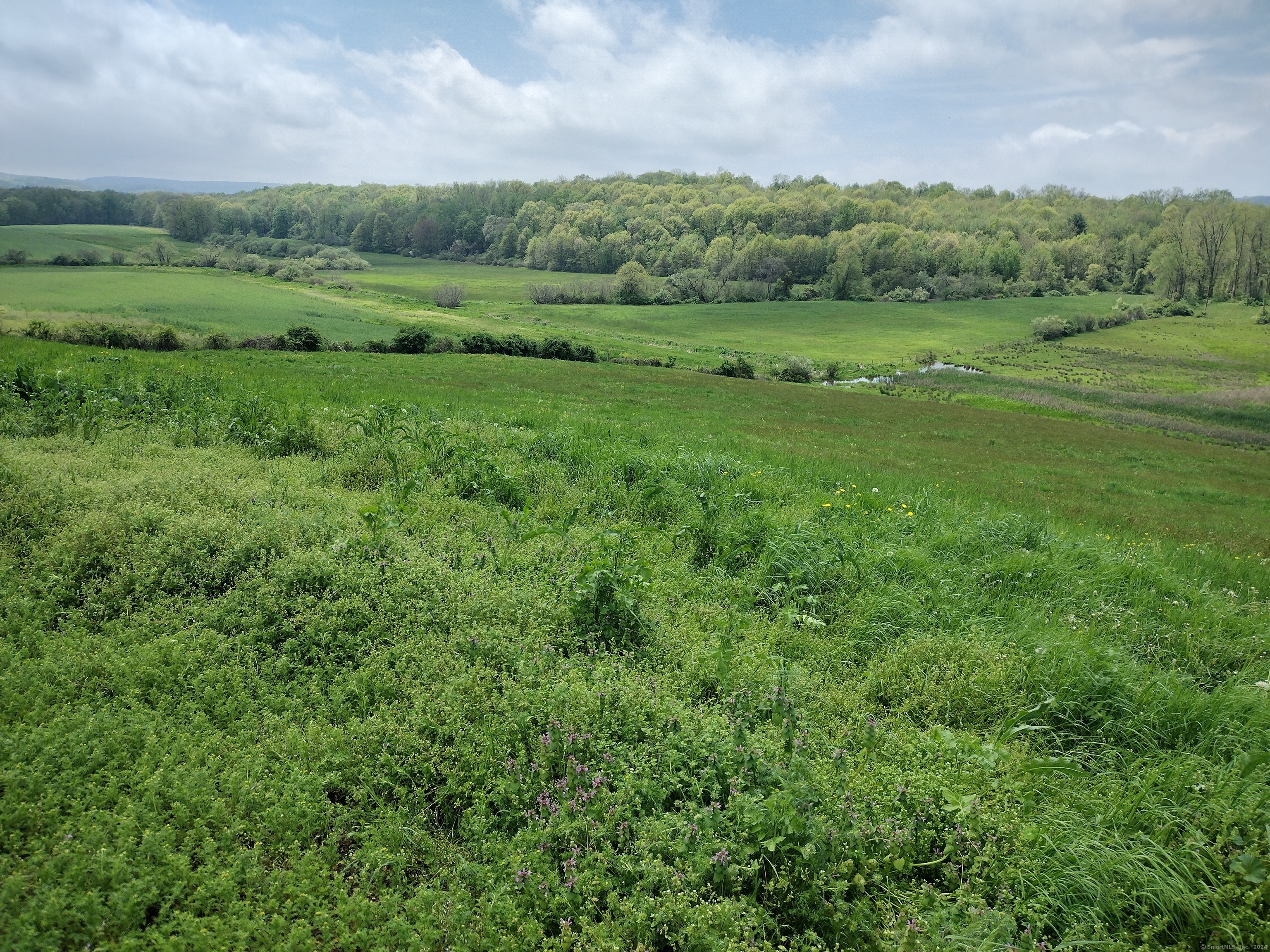 148-153 Wallingford Road Durham, CT 06422 - Photo 34 of 36