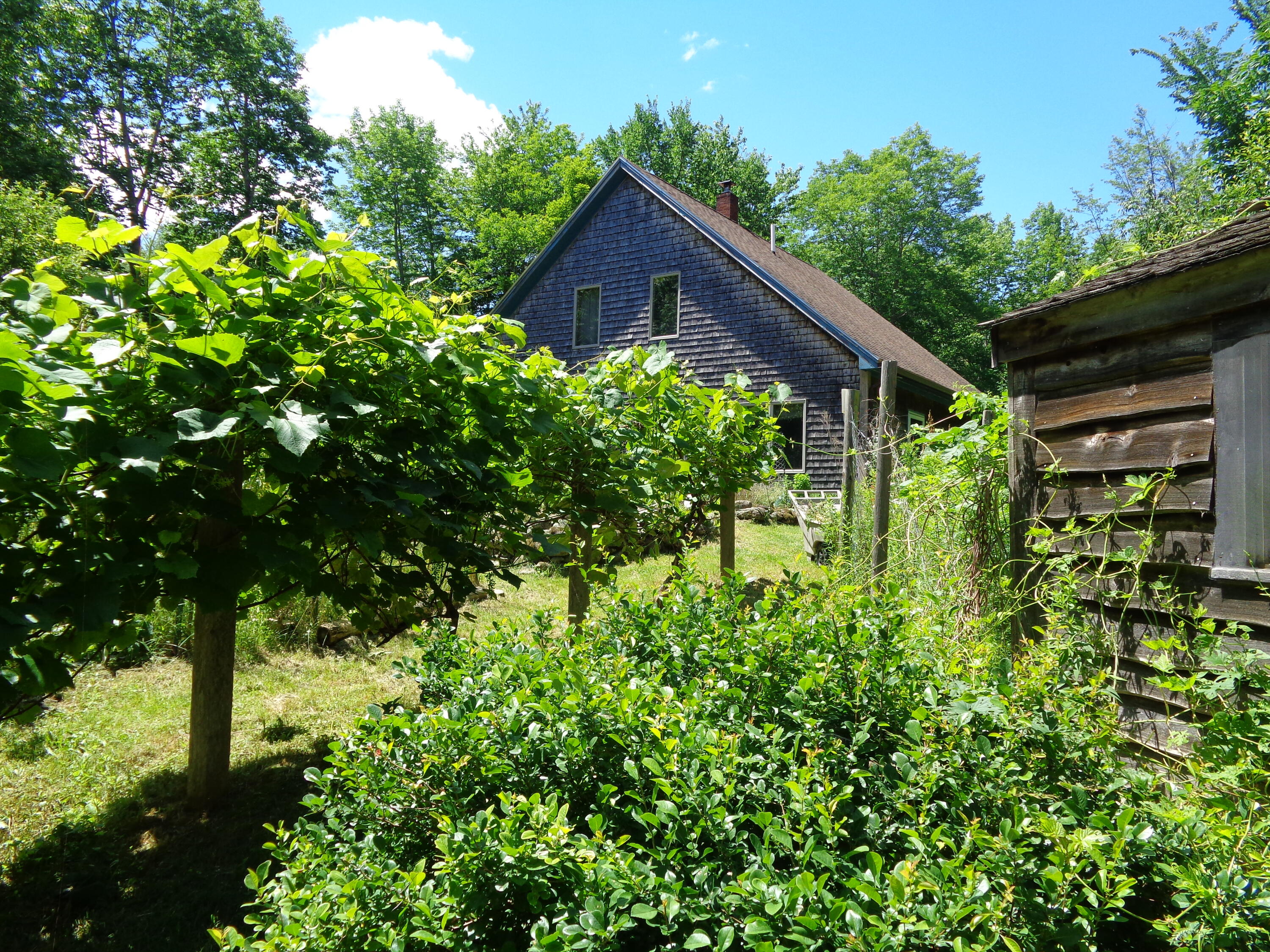 1181 Happytown Road Ellsworth, ME 04605 - Photo 43 of 56 Grapevines
