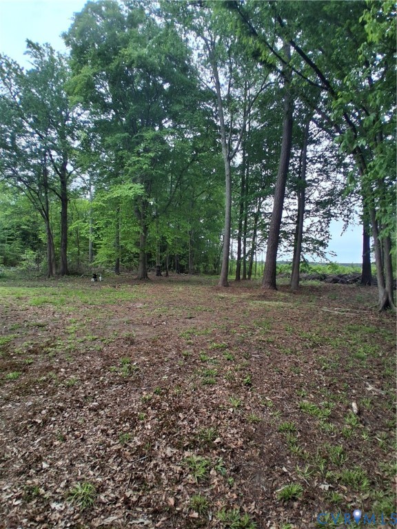 406 Hamburg Road Port Haywood, VA 23138 - Photo 4 of 14