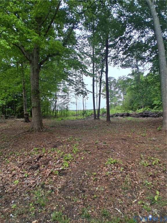 406 Hamburg Road Port Haywood, VA 23138 - Photo 5 of 14