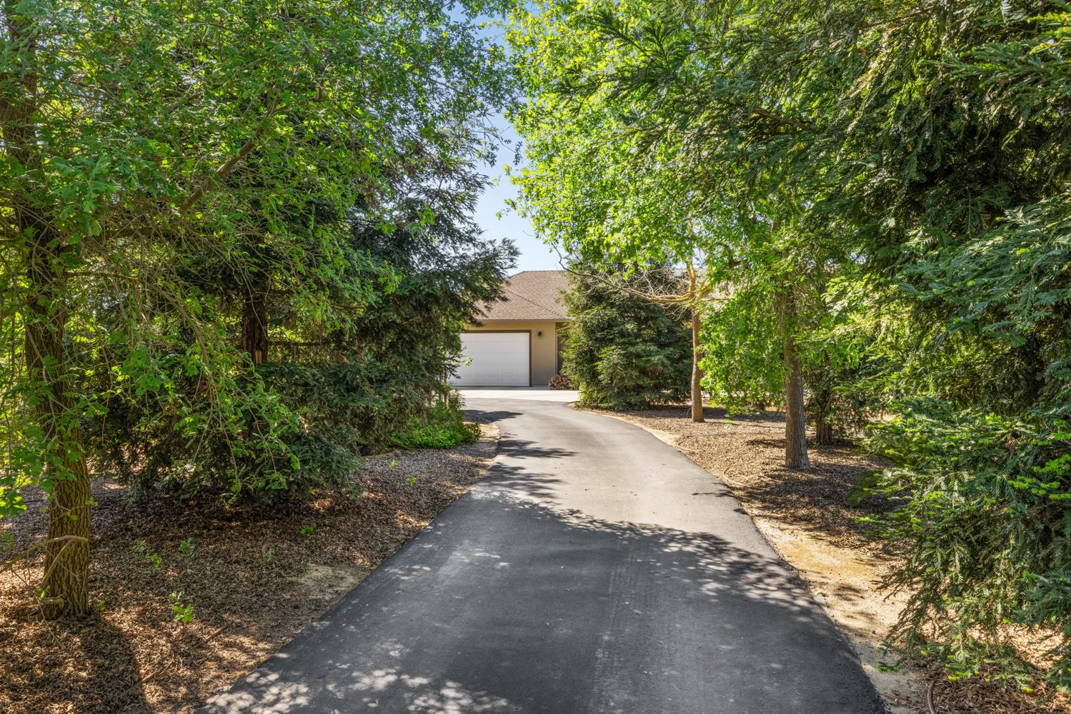 1255 Root Road Modesto, CA 95357 - Photo 3 of 52 a view of a house with a yard and tree