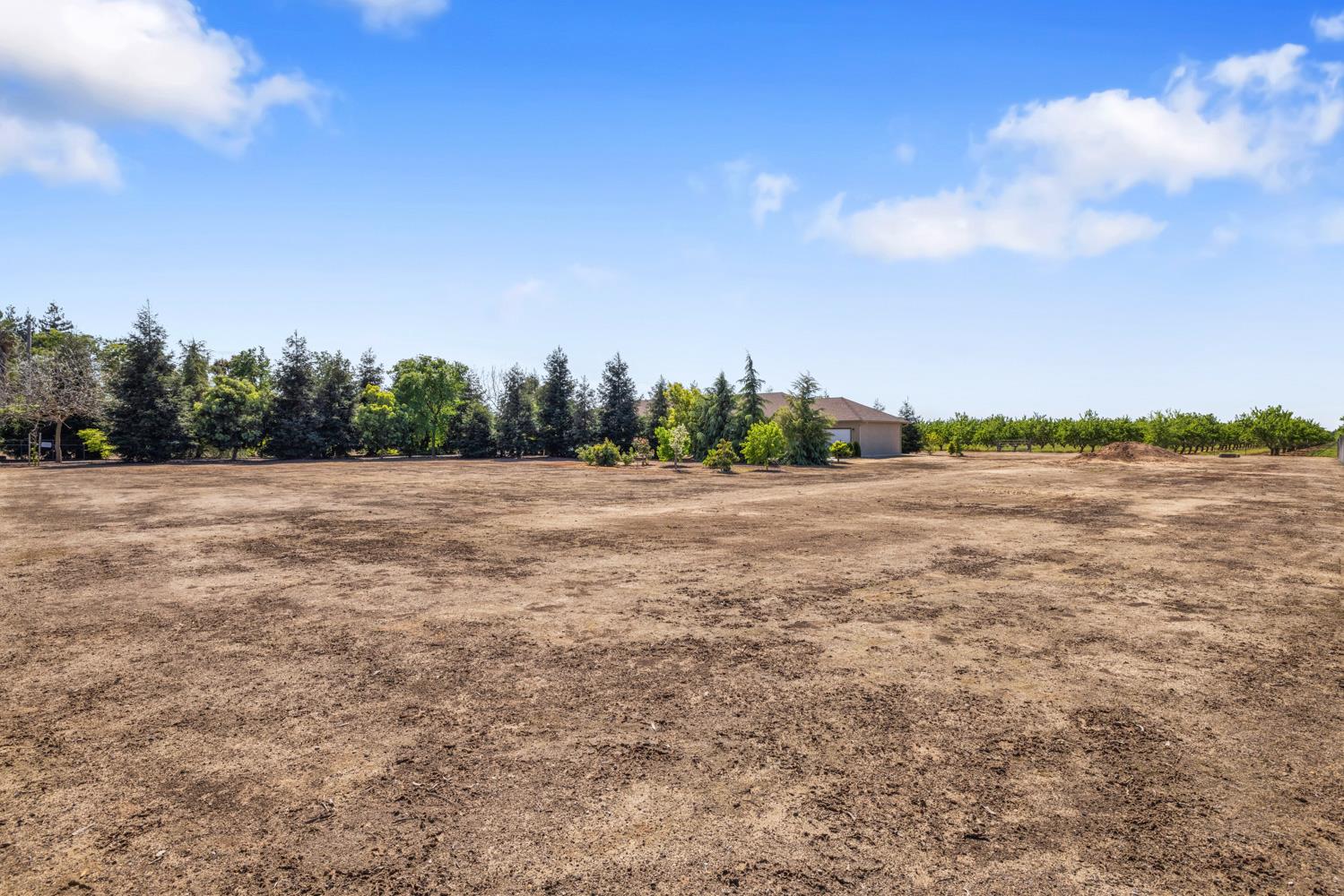 1255 Root Road Modesto, CA 95357 - Photo 39 of 52 a view of a field with trees in background
