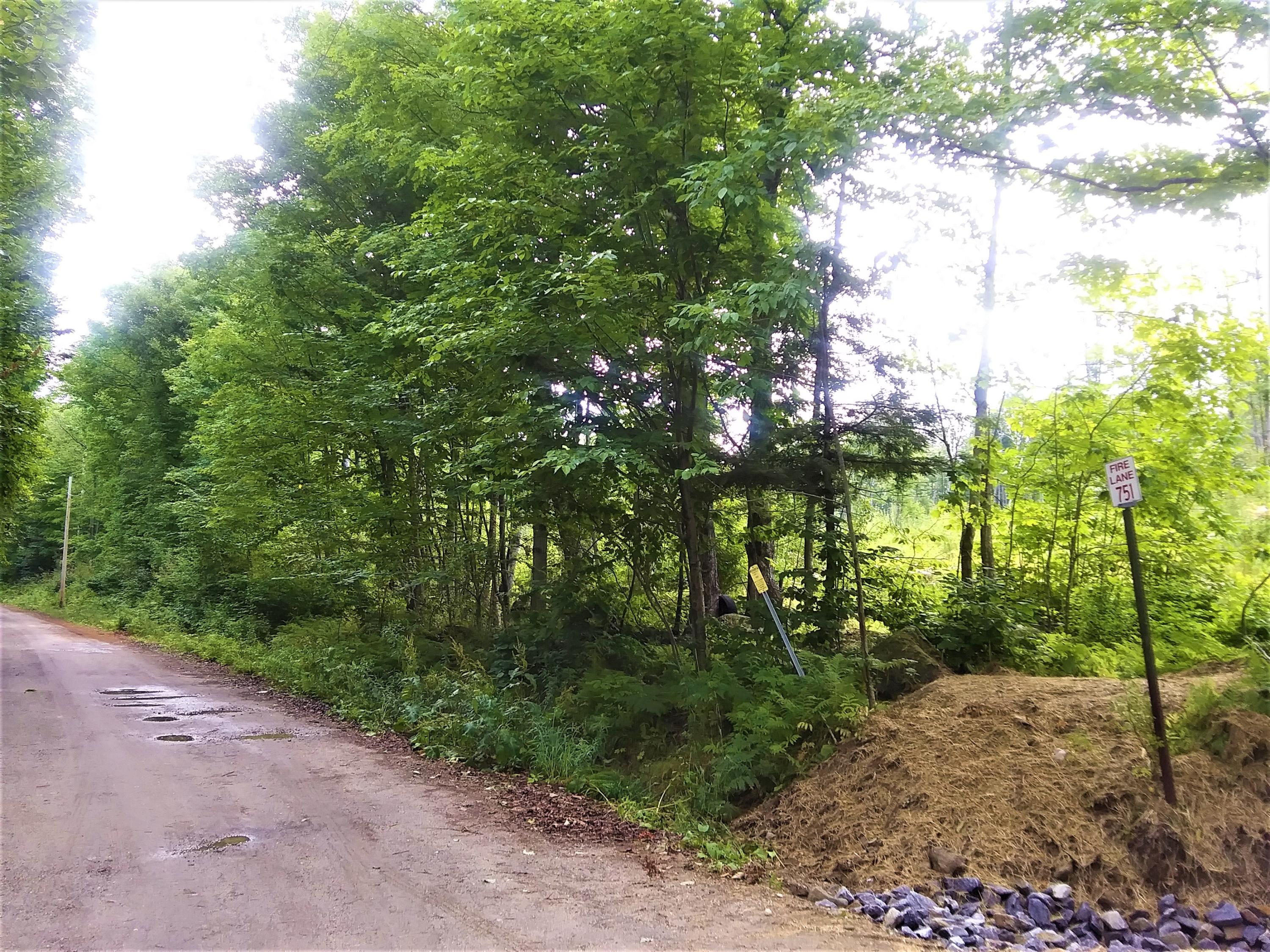 Lot 16 Farmers Hill Road Andover, ME 04216 - Photo 2 of 3 Corner of Fire Lane 751
