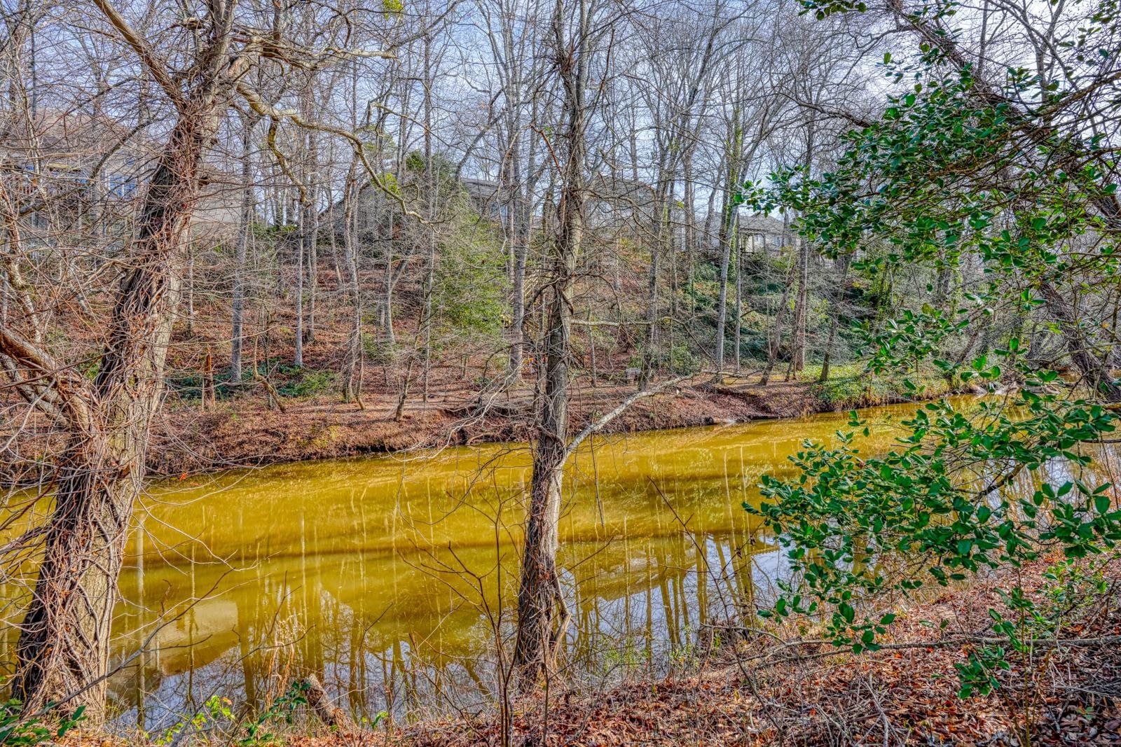 763 Enoree River Place Greer, SC 29651 - Photo 44 of 48