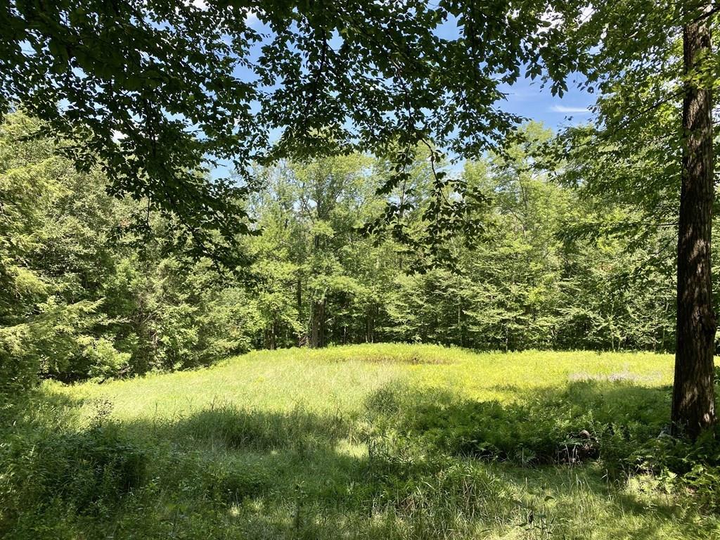 198 Hosmer Road Heath, MA 01346 - Photo 20 of 22