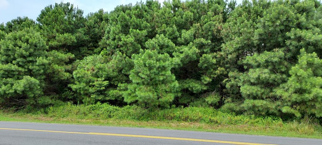 Lot 5 Bradfords Neck Road, Unit 5 Melfa, VA 23410 - Photo 1 of 6
