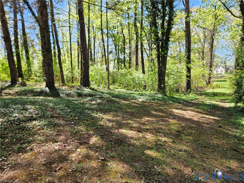 3271 Rosney Road Dillwyn, VA 23936 - Photo 41 of 45 Gallery Image 41