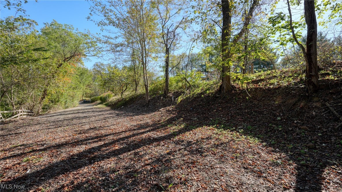 23305 Lashley Road Senecaville, OH 43780 - Photo 2 of 17 View of tree filled area