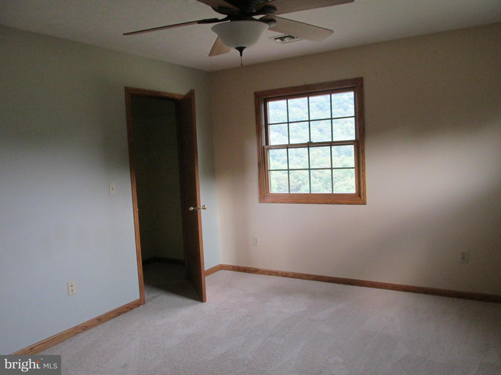 21607 Rock Wall Road Rawlings, MD 21557 - Photo 8 of 17 Bath (Master)