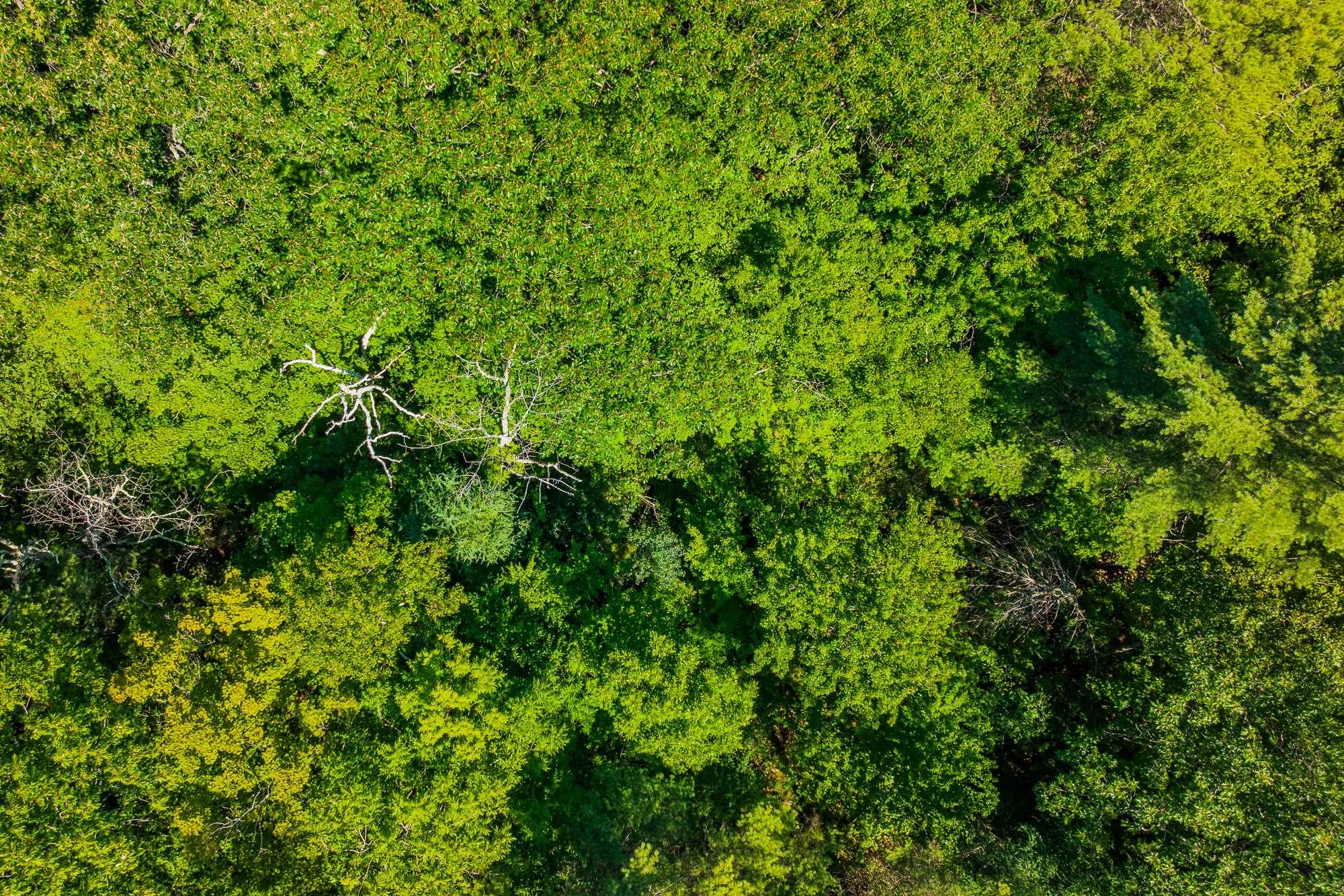 215 Highway 30 Dorset, VT 05251 - Photo 13 of 43