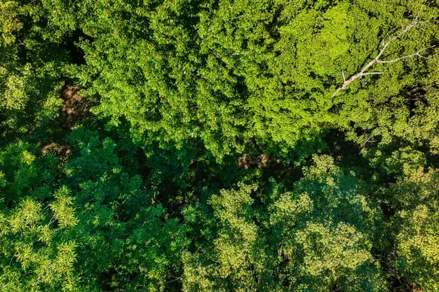 $2,300,000 | 215 Highway 30, Dorset, VT 05251