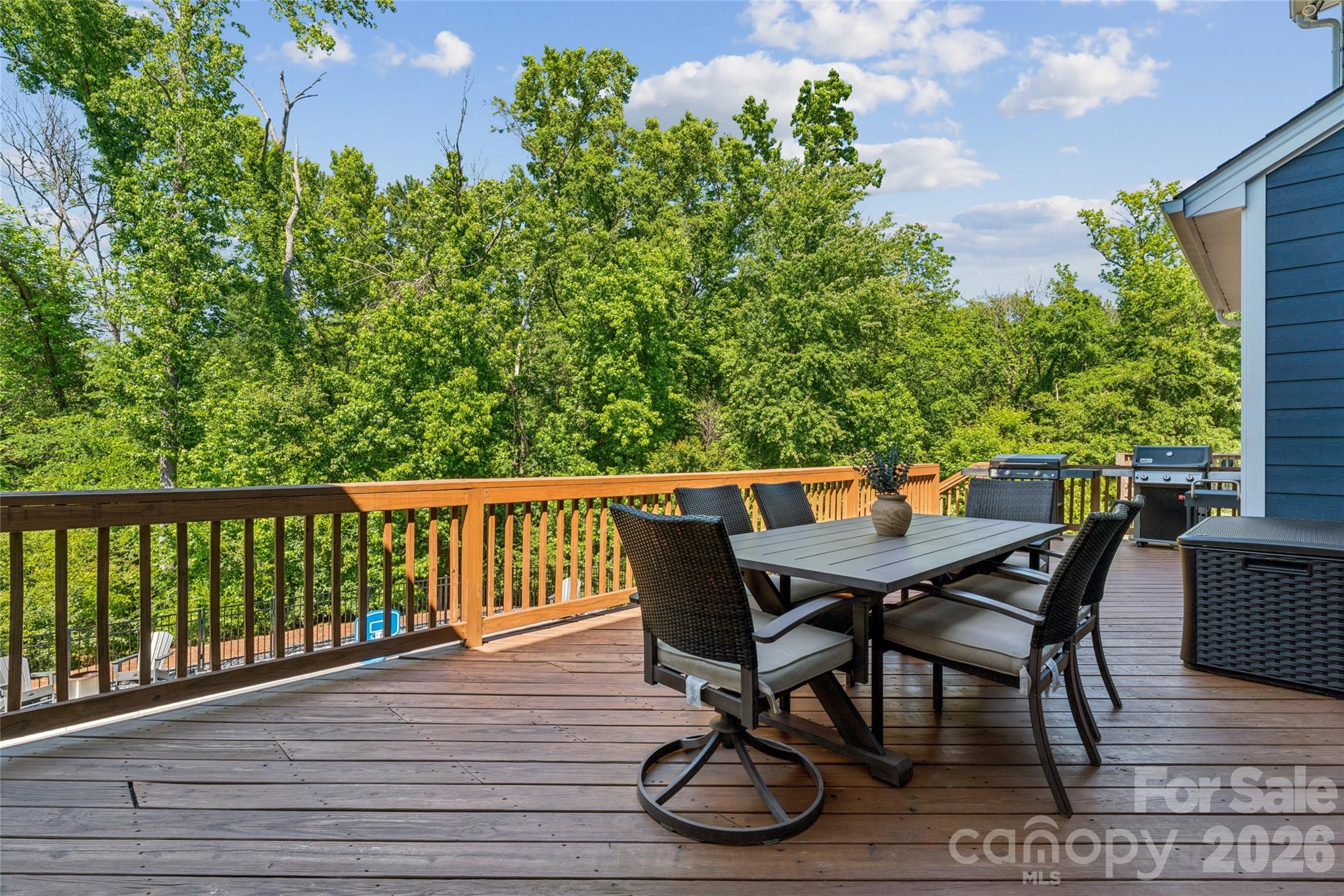 1074 Weir Court Fort Mill, SC 29708 - Photo 43 of 48
