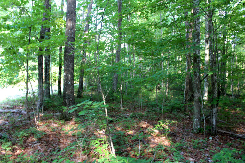 Ridge Point Road Jamestown, TN 38556 - Photo 22 of 23 IMG_3478_800x533