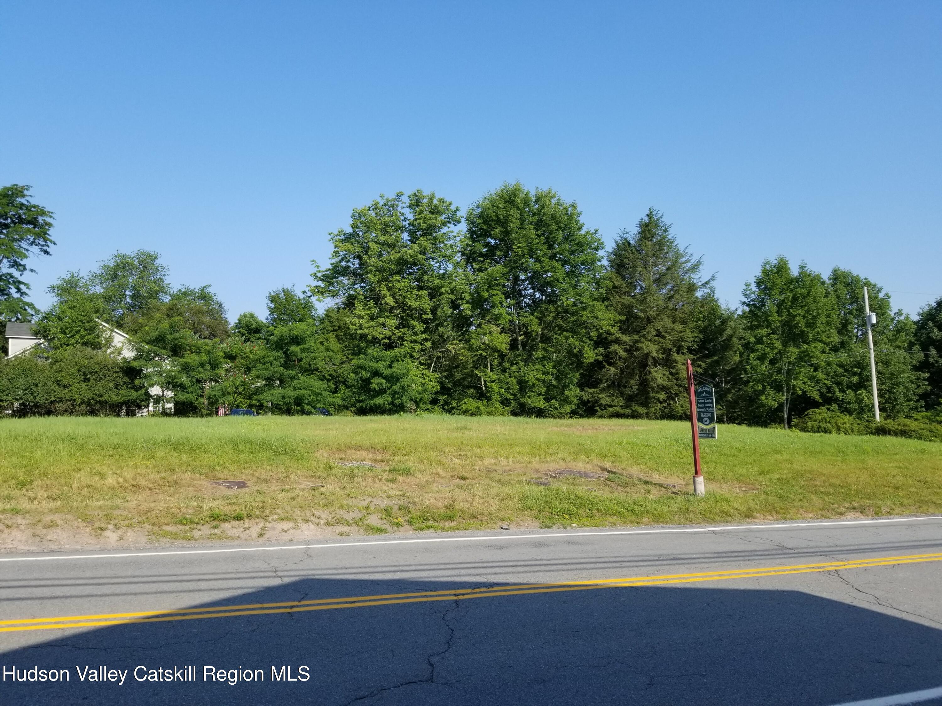 0 Horseshoe Lake Road Kauneonga Lake, NY 12749 - Photo 11 of 19 20190726_085725