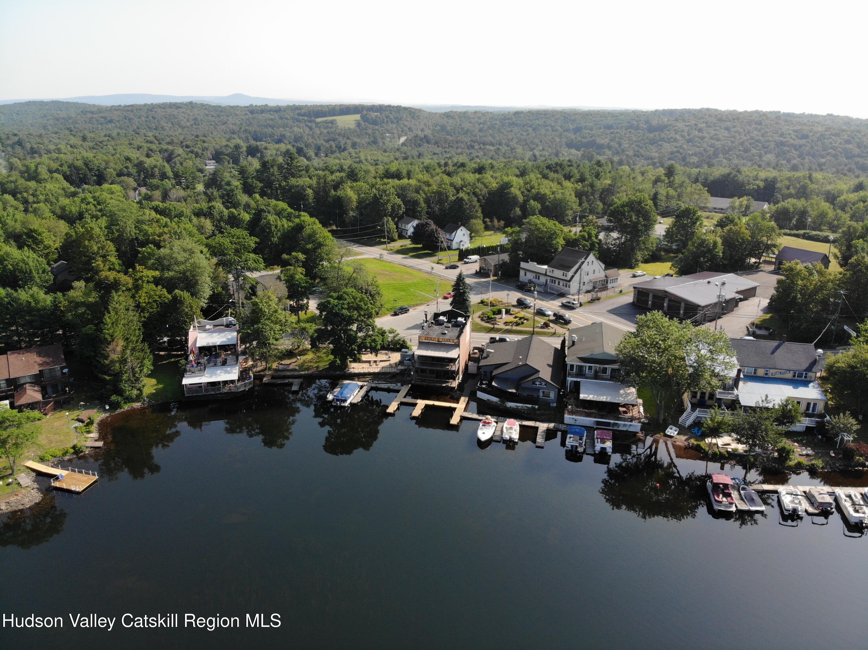 0 Horseshoe Lake Road Kauneonga Lake, NY 12749 - Photo 17 of 19 DJI_0421