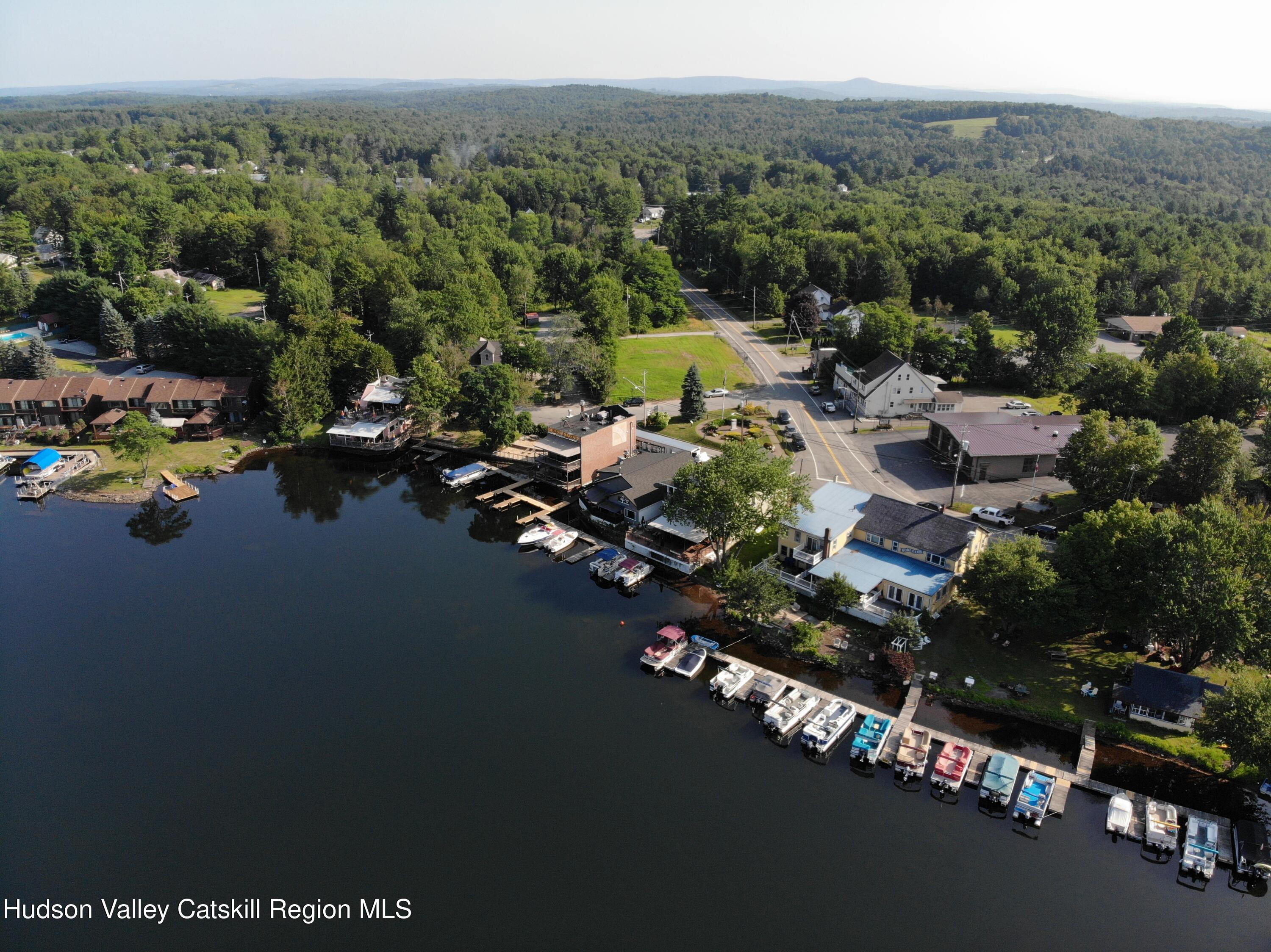 0 Horseshoe Lake Road Kauneonga Lake, NY 12749 - Photo 3 of 19 DJI_0296