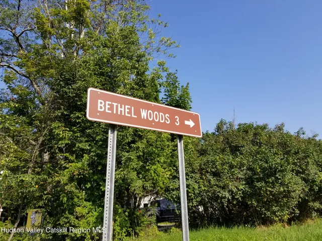 a view of a field with an ocean view