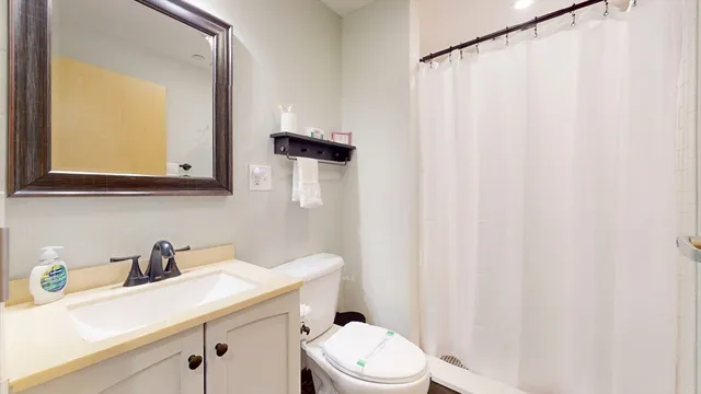 a bathroom with a sink a toilet and a mirror