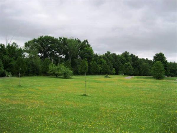 401 Mulpus Road Lunenburg, MA 01462 - Photo 13 of 15 a view of field with tall trees