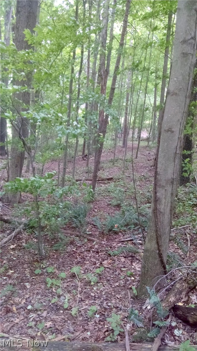 Byers Road Perrysville, OH 44864 - Photo 7 of 9