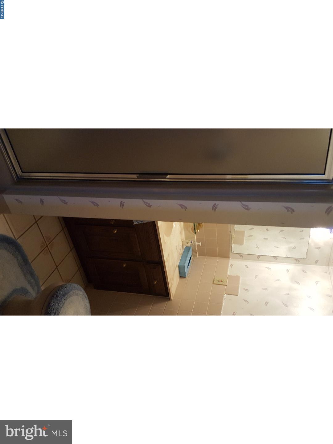 4318 Stoudts Ferry Bridge Road Reading, PA 19605 - Photo 14 of 17 Bathroom