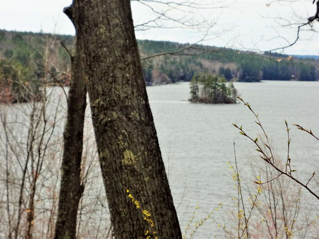 795 Province Road Strafford, NH 03884 - Photo 24 of 33
