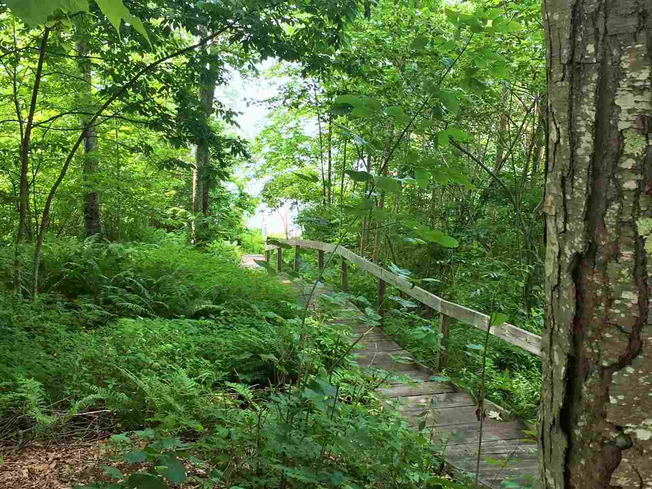 795 Province Road Strafford, NH 03884 - Photo 26 of 33
