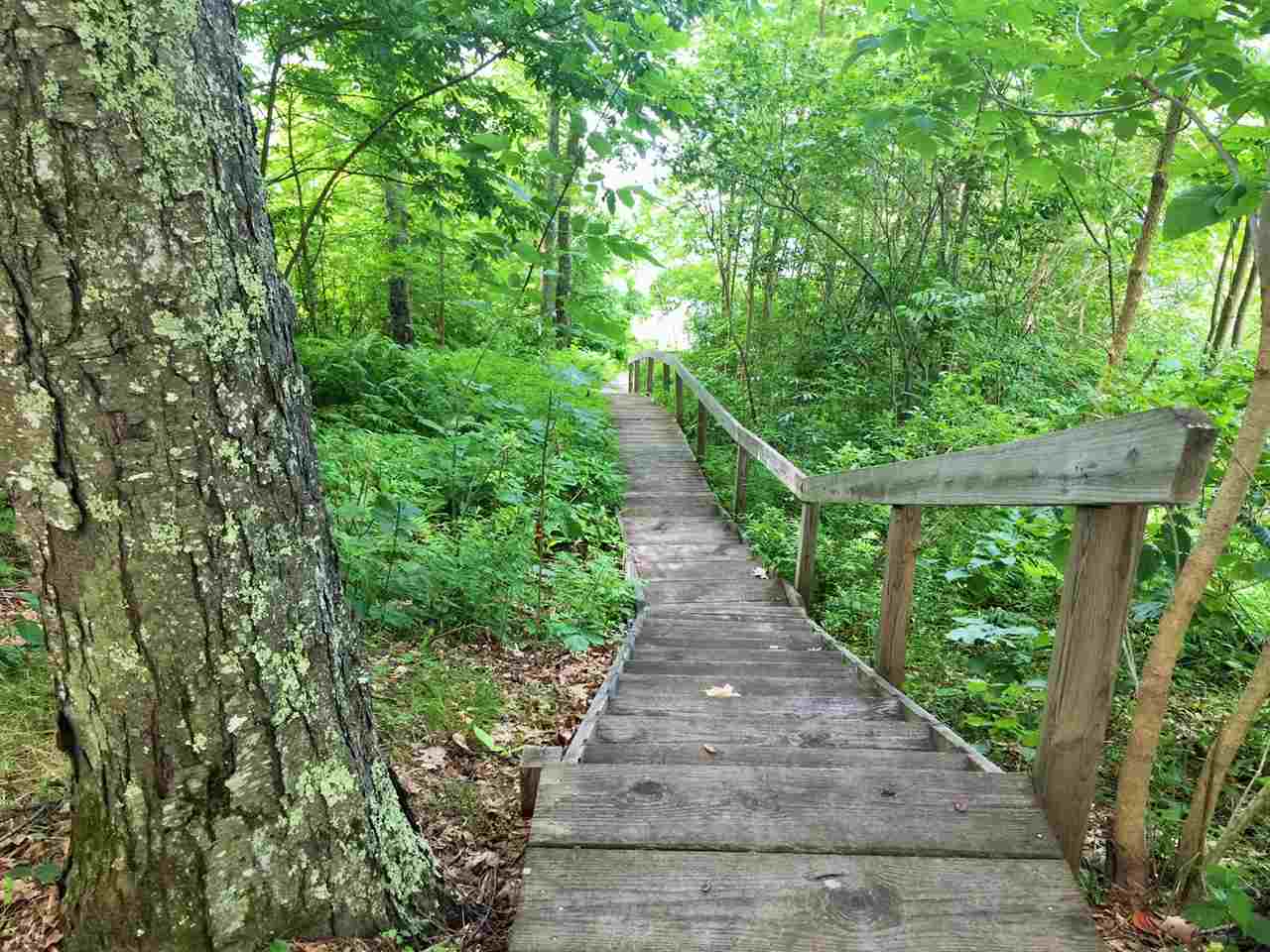 795 Province Road Strafford, NH 03884 - Photo 27 of 33